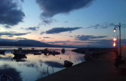 Margarita House - Photo 28