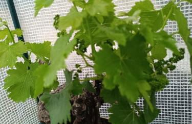 Villa près des remparts - Foto 21