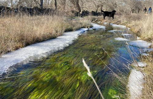 Casa El Encuentro - Turégano Segovia - Foto 46