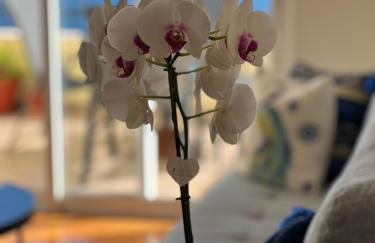 VeBella Ocean View - Foto 52