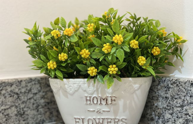 MBV - Anora Spaces . Flats Bela Vista - Foto 38