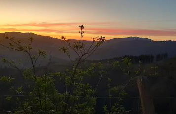 Ondarbaso Apartamentos Rurales III - Foto 26