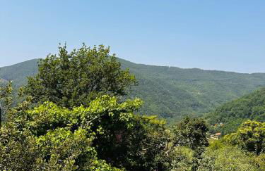 Il Giardino di Monterole Cà d'Pini - Photo 28