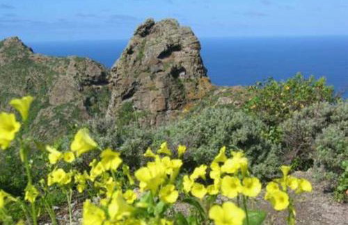 House Rural,Biosphere Reserve World.Taganana.Tfe. - Foto 56