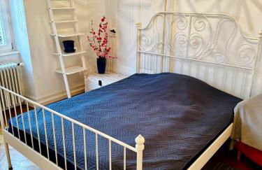 Schloss Apartment, Zentrum Baden-Baden - Foto 17