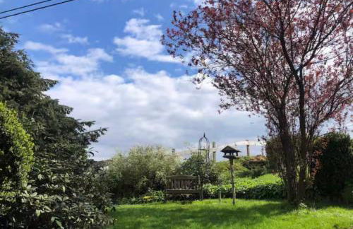 Bei Fuchses am Wisentpfad - Foto 24