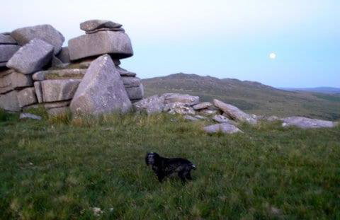 Cottage On The Square - Photo 22