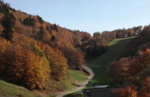 petit nid montagnard - Foto 1