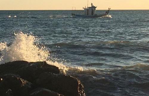 Sol mediterráneo - Foto 1