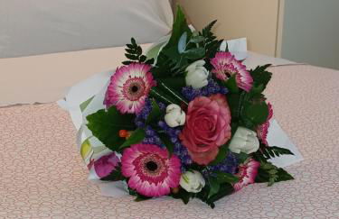 Monolocale Azzurra - Photo 9