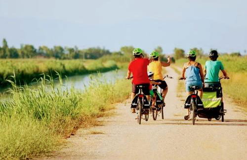 LA PAU DEL DELTA - Foto 45