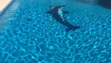 Ideal Location 3 Bed 3 Bath Villa With Pool On Camposol Sect B Close To Amenities - Foto 2