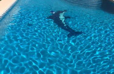 Ideal Location 3 Bed 3 Bath Villa With Pool On Camposol Sect B Close To Amenities - Foto 2