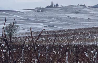 la parenthèse - Foto 11