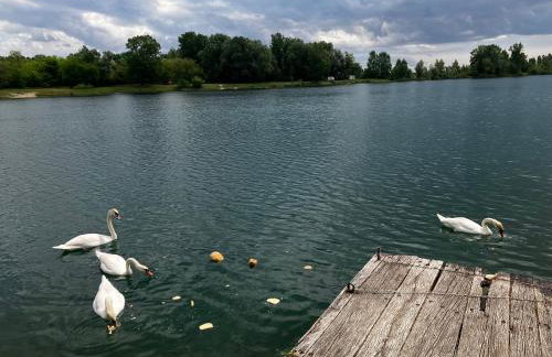 Lotus apartman on the Lake - Foto 17