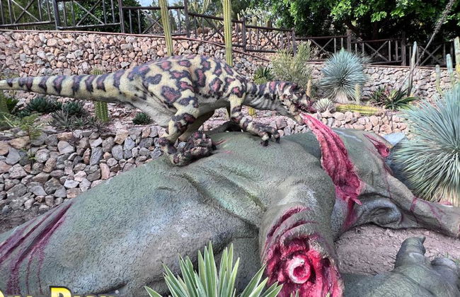 Dinopark Algar - Foto 13