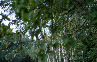 Balia i Las Domek nad jeziorem MoreLife House - Foto 51