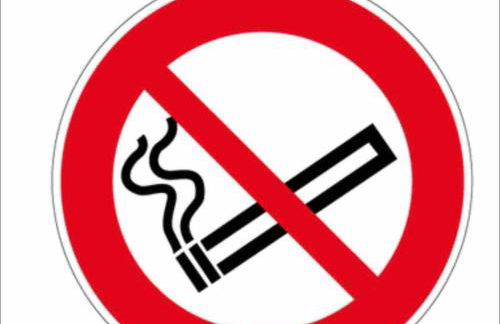 Cozy House - Roissy CDG Paris - Parc-expo -Astérix - Foto 15