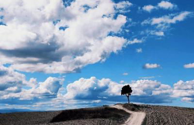 HILLS by Bibi Le Crete Senesi - Foto 21