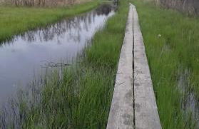 Ferienwohnung Birke - Foto 27