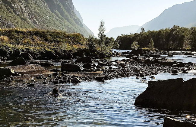 27 Person Holiday Home in Dyrdal-by Traum - Foto 24