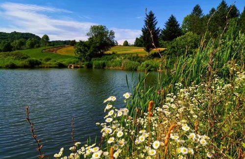 Ferienwohnung Luna mit Pool - Foto 44