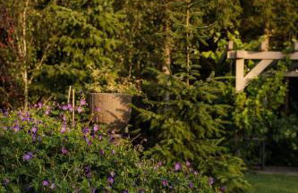 BURSZTYNOWA-PRZYSTAŃ - Foto 48