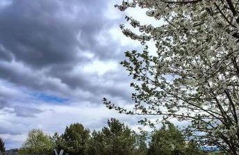 Domki U Tarnawy - Foto 36