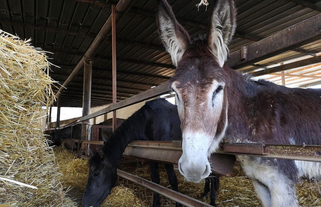 Agriturismo Fontana la Pietra - Foto 46