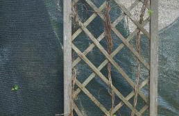 Green Eden - Foto 20