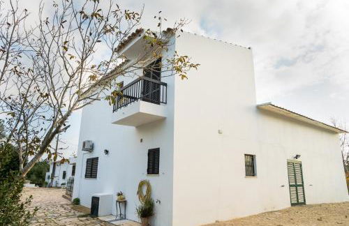 JB - Monte João Moleiro With Shared Pull - Photo 14