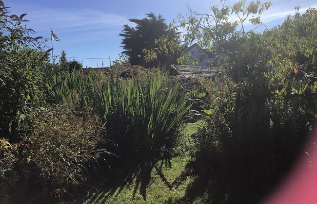 Wellspring Cottage nr Kynance Cove - Foto 15