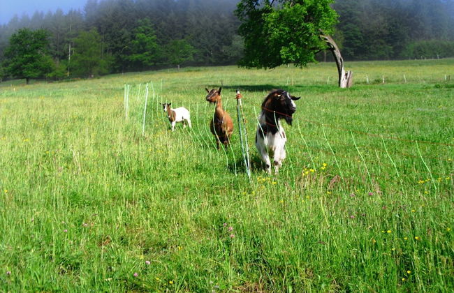 Comfortable Holiday Home in a Beautiful Location - Photo 45