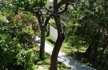 Casa do Valo - Foto 61