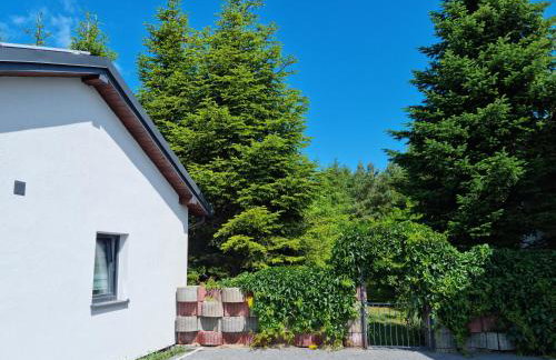 Domek Pod Cisem na wyłączność - Foto 17