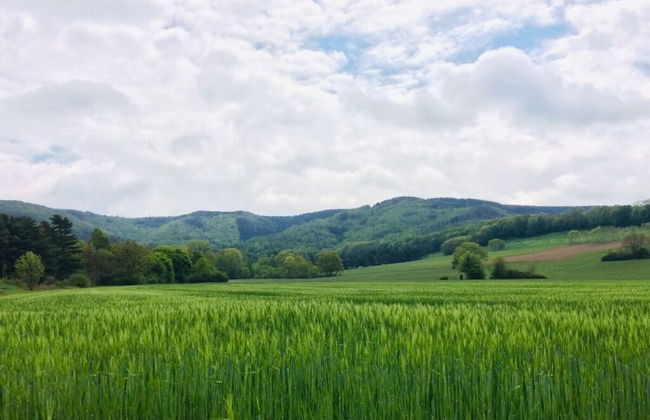 Holiday Home Harzhaus Time out - Photo 35