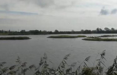 Cosy Stays Daybrook - Foto 21