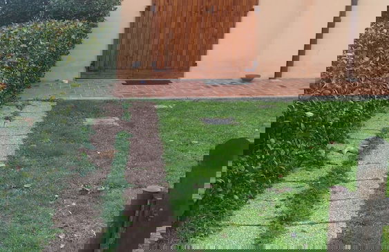 Lama di Valle Rosa - Foto 18