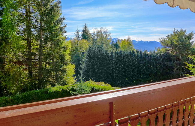 Soldanella 2 - Foto 33