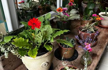 House on the Gwynns Falls - Foto 40