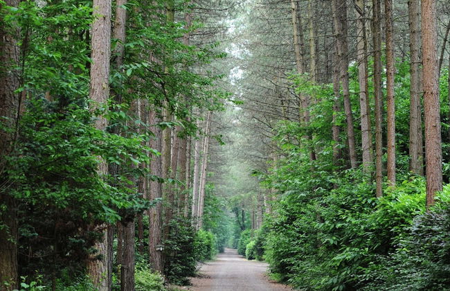 Holiday Home in Netherlands With Pond View - Photo 26