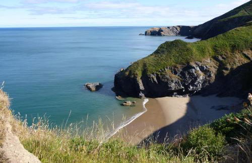 Nantgwynfaen Organic Farm Wales - Photo 41