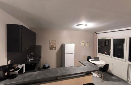 LeRelaisdOdile - Idéal PRO & Couple - Studio Cosy - Proche Metro - Parking Gratuit - Mons-en-Barœul - - WIFI HD - Smart TV - Entrée Autonome - Foto 15