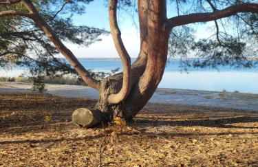 Ferienhaus Water - Foto 28