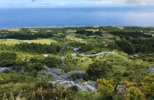 CASITA DA DOCTORA - Foto 56