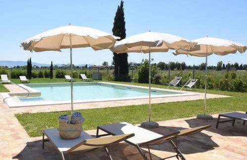 Agriturismo Poderedodici - Foto 2