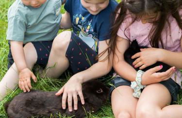 Ferienhof Henn - Foto 6