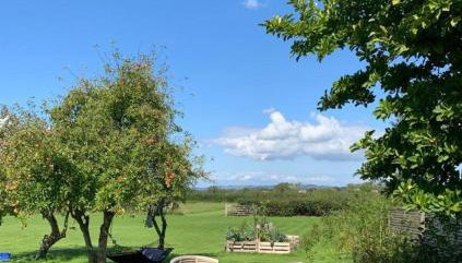 Bluebell Farm - Foto 3