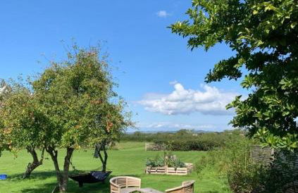 Bluebell Farm - Foto 3