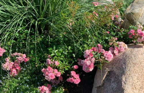 Appartements unter Reet - Foto 19